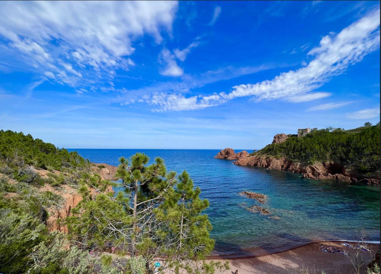 Les Cactus Frejus Plage Dış mekan fotoğraf