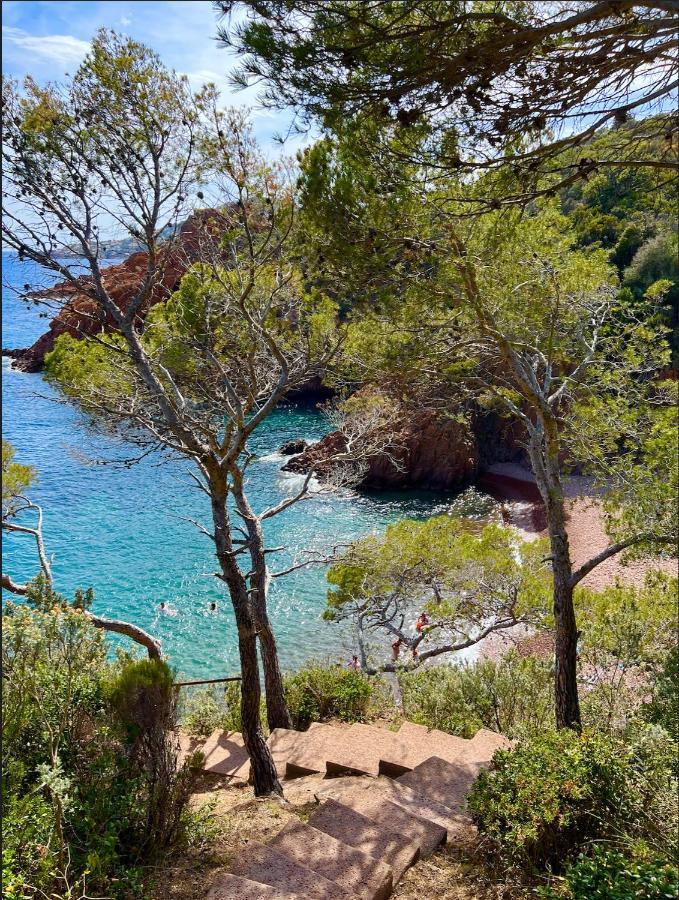 Les Cactus Frejus Plage Dış mekan fotoğraf