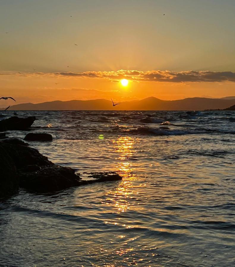 Les Cactus Frejus Plage Dış mekan fotoğraf