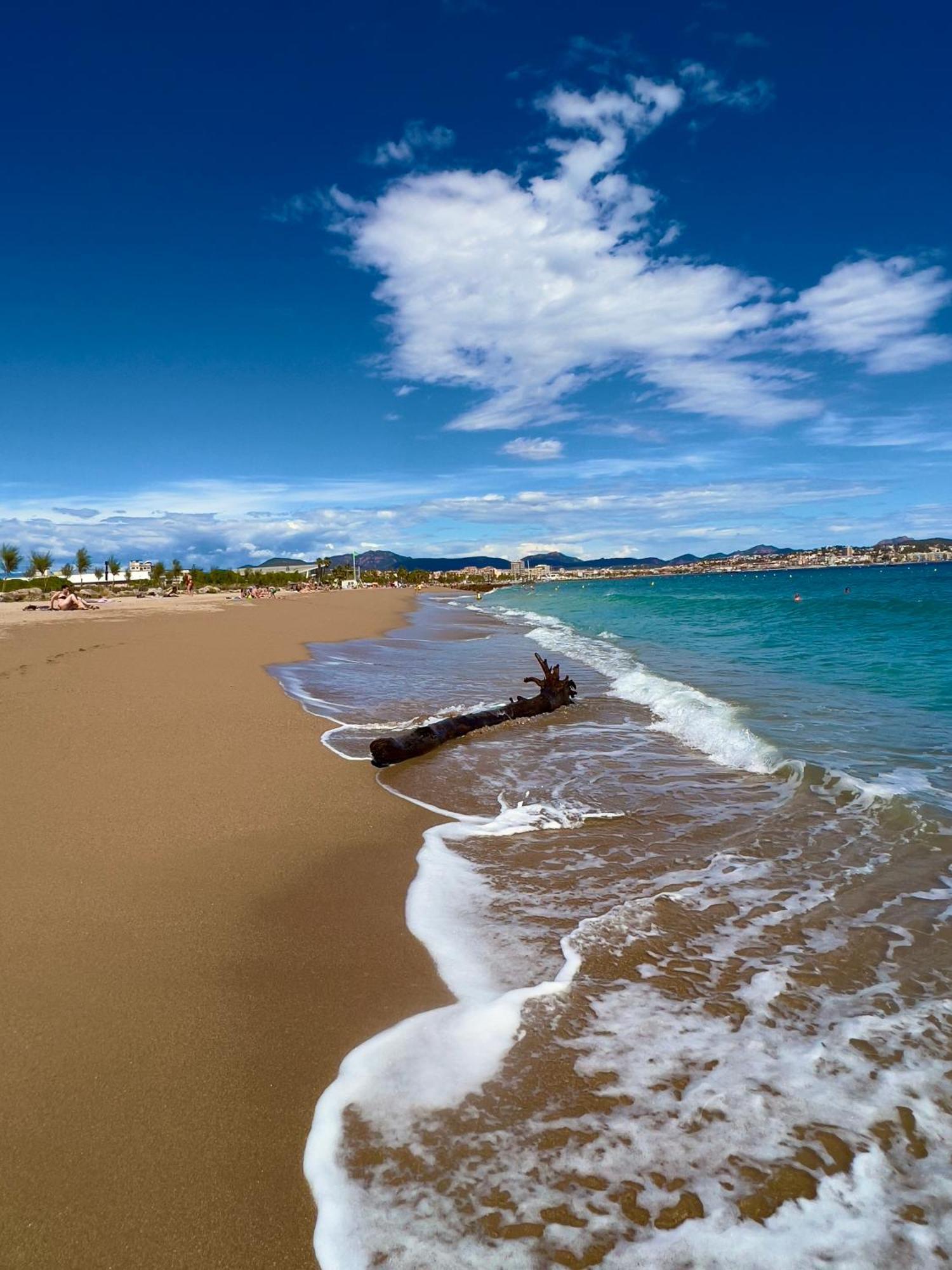 Les Cactus Frejus Plage Dış mekan fotoğraf